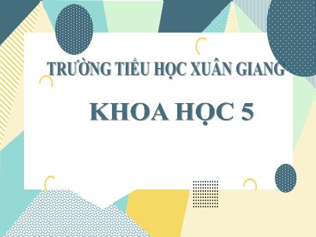 Bài giảng Khoa học Lớp 5 - Bài 18: Phòng tránh bị xâm hại - Năm học 2023-2024 - Trường Tiểu học Xuân Giang