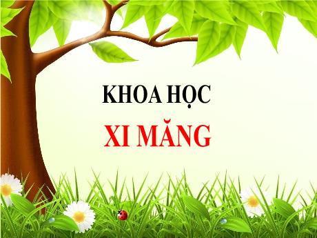 Bài giảng Khoa học Lớp 5 - Bài 28: Xi măng
