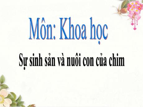 Bài giảng Khoa học Lớp 5 - Bài 58: Sự sinh sản và nuôi con của chim - Năm học 2023-2024