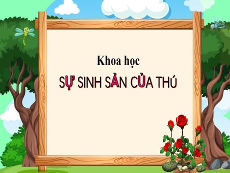 Bài giảng Khoa học Lớp 5 - Bài 59: Sự sinh sản của thú