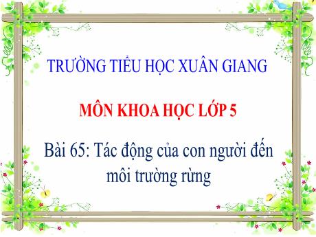 Bài giảng Khoa học Lớp 5 - Bài 65: Tác động của con người đến môi trường rừng - Đặng Thị Xuân
