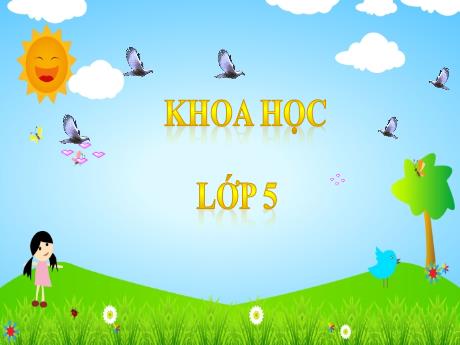 Bài giảng Khoa học Lớp 5 - Bài: Ôn tập Thực vật và động vật (Tiết 1) - Năm học 2023-2024 - Đặng Thị Xuân