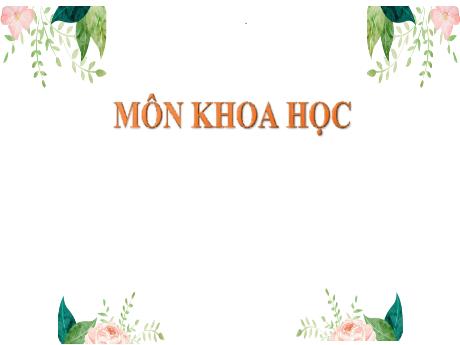 Bài giảng Khoa học Lớp 5 - Bài: Sự sinh sản của động vật