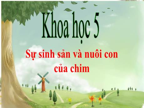 Bài giảng Khoa học Lớp 5 - Bài: Sự sinh sản và nuôi con của chim - Năm học 2023-2024 - Đặng Thị Xuân