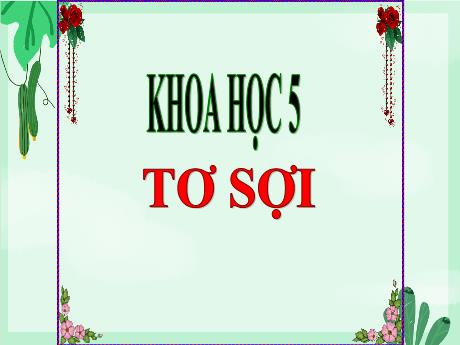 Bài giảng Khoa học Lớp 5 - Bài: Tơ sợi