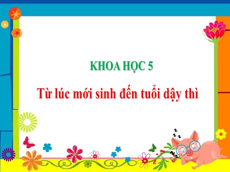 Bài giảng Khoa học Lớp 5 - Bài: Từ lúc mới sinh đến tuổi dậy thì - Năm học 2023-2024