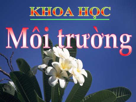 Bài giảng Khoa học Lớp 5 - Tiết 2: Môi trường