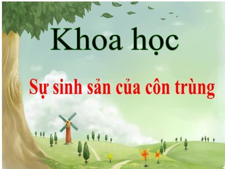 Bài giảng Khoa học Lớp 5 - Tiết 47, Bài: Sự sinh sản của côn trùng
