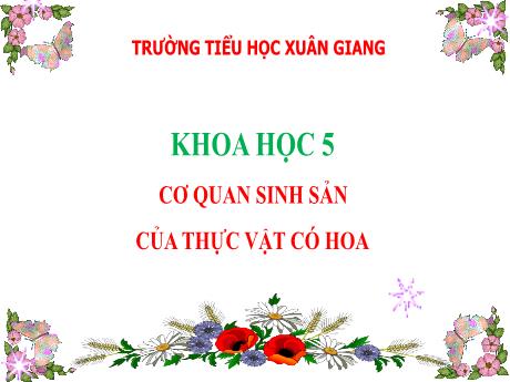 Bài giảng Khoa học Lớp 5 - Tuần 27, Bài: Cơ quan sinh sản của thực vật có hoa - Năm học 2023-2024 - Trường Tiểu học Xuân Giang