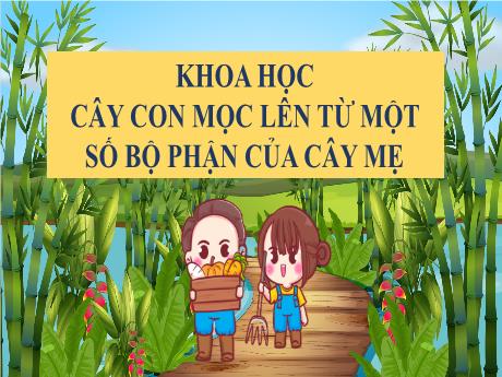 Bài giảng Khoa học Lớp 5 - Tuần 28, Bài: Cây con mọc lên từ 1 số bộ phận của cây mẹ