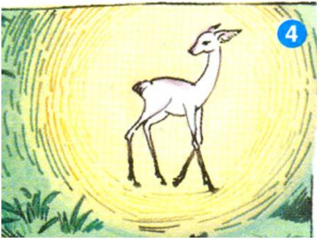 Bài giảng Tiếng Việt Lớp 5 (Kể chuyện) - Bài: Người đi săn và con nai