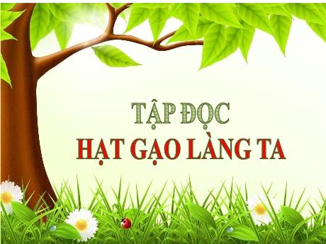 Bài giảng Tiếng Việt Lớp 5 (Tập đọc) - Tuần 14, Bài: Hạt gạo làng ta - Năm học 2023-2024